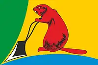 Drapeau de Raïon de Touja
