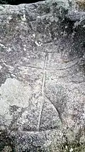 Pétroglyphe de la Piedra de les Creus.