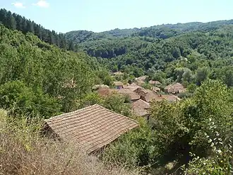 Dobri Do (Pirot)
