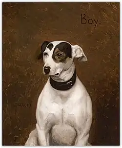 Boy.