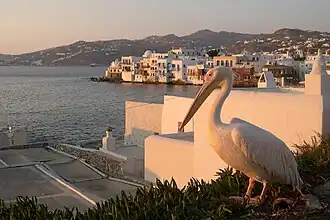 Petite Venise de Mykonos