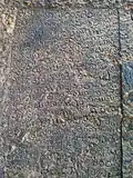 Inscriptions en langue télougou.
