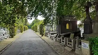 Allée du cimetière de Roubaix.