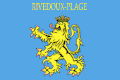 Image illustrative de l’article Rivedoux-Plage