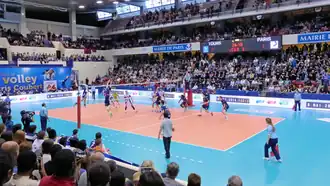 Volley-ball.