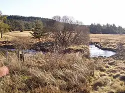 Le Thaurion en amont du pont de Senoueix.