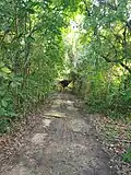 Sentier de Beautiran.