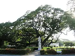 Statue de Simón Bolívar à La Quinta de San Pedro Alejandrino.