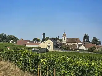 Morey-Saint-Denis