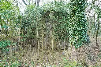 Ruine du bâtiment de la machine d'extraction.