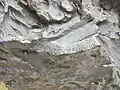 Signature sur un monument en bronze