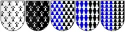 Des blasons diversement ornés de figures géométriques