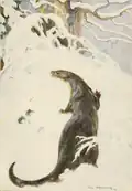 Illustration par Bransom de Monsieur Loutre traversant le Bois. La légende dit : « À travers les bois sauvages et la neige ».