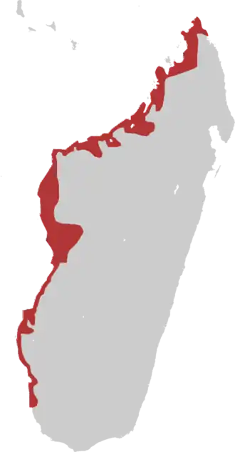 Description de l'image Madagascar Teal.png.
