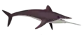 Ornithoprion, un petit holocéphale eugeneodonte.