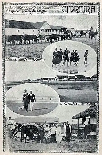 Cidreira