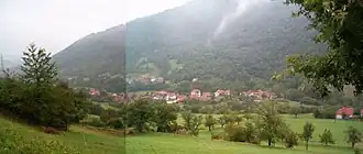 Ćurkovica (Surdulica)