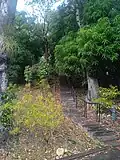 Escalier menant à la grotte de Morne Calvaire.