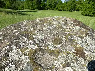 Le sommet de la pierre.