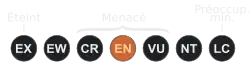 ( EN )