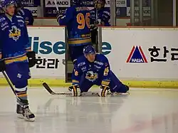 Description de l'image Anyanghallaplayerleekwonjae.jpg.