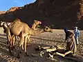 Puits d'eau, Ennedi.