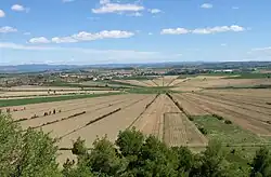 Dans un paysage de campagne, des champs disposés en rayons convergent vers un espace herbager central de forme circulaire.