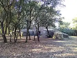Capitelle du Grand Bois.