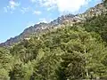 Montagnes dans la vallée de l'Asco.