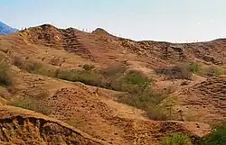 Des collines pelées, érodées, avec quelques arbres plus ou moins secs dans les plis.