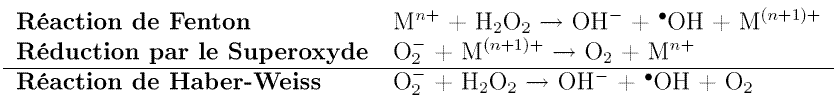 Génération des radicaux hydroxyle par les réactions de Fenton et d'Haber-Weiss.
