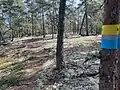 SAT Ingmarsö