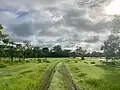 air Niokolo Koba