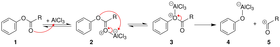 Clivage de la liaison ester libérant le cation acylium sous l'effet de l'acide de Lewis.