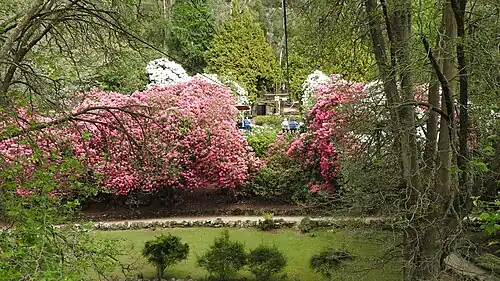 Cataract Gorge in spring