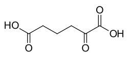 Image illustrative de l’article Acide 2-oxoadipique