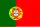 icône décorative