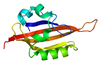 Image illustrative de l’article EPAS1