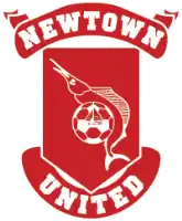 Logo du Newtown United FC