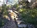 Escaliers vers le Mont Frankland