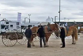 Traction de machines agricoles anciennes à la foire d'Avignon, 2013