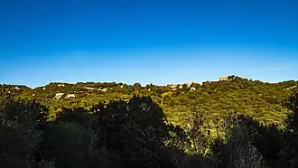 Giuncheto