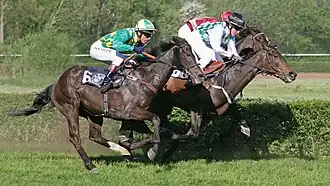 Image illustrative de l’article Hippodrome de Sarrebruck