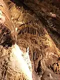 Draperies du mur de méduse