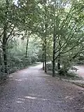 Sentier permettant les promenades dans le parc