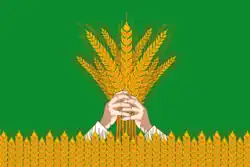 Drapeau de Raïon de Kiknour