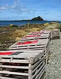 Nasses vides sur les berges de l’île avec Tapu Te Ranga Motu dans le lointain