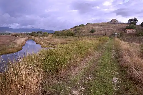 Marais