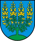 Blason de Meierskappel