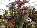 Composition florale